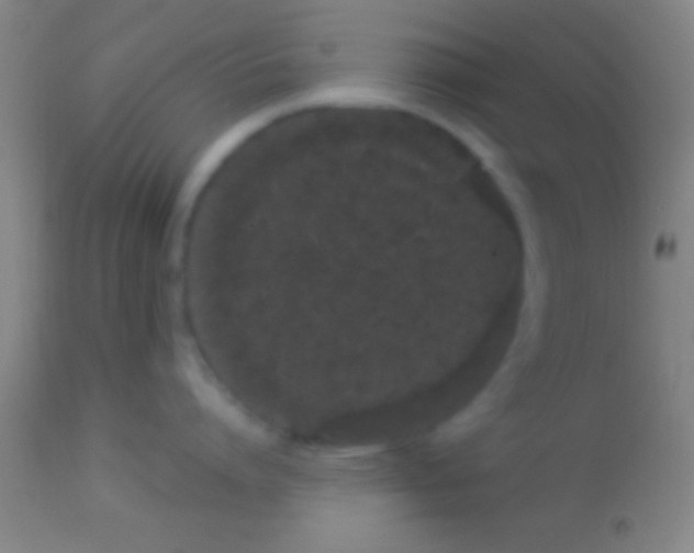 X0000113940864200910161913