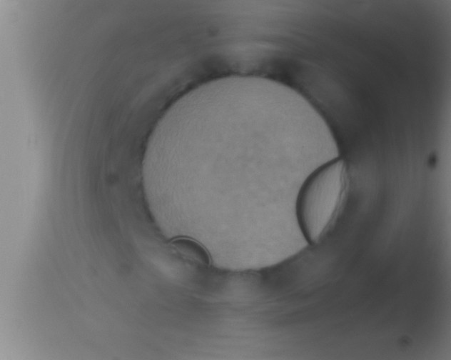 X0000113940865200910161913