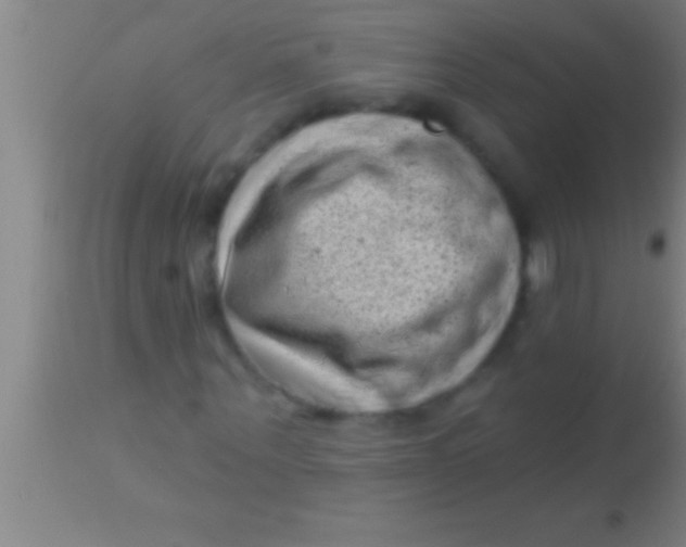 X0000113940867200910161913