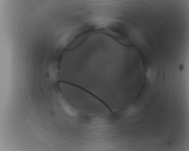 X0000113940868200910161913