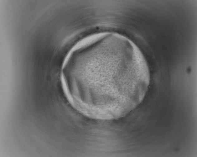 X0000113940870200910161913