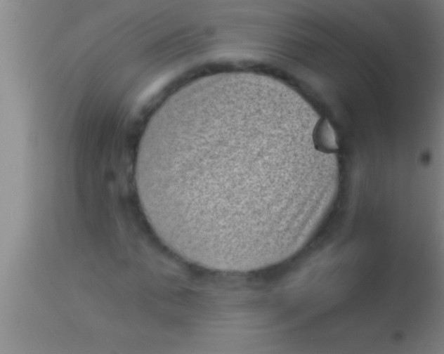 X0000113940871200910161913