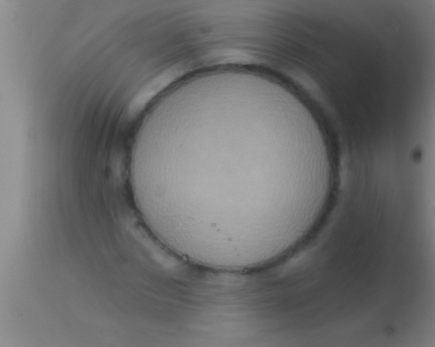X0000113940873200910161912