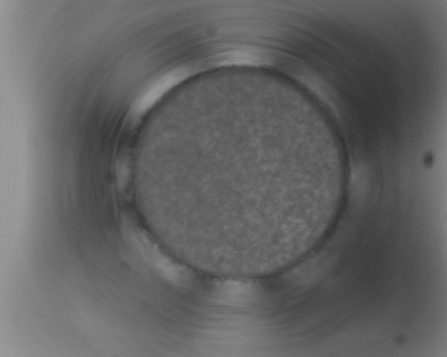 X0000113940874200910161912