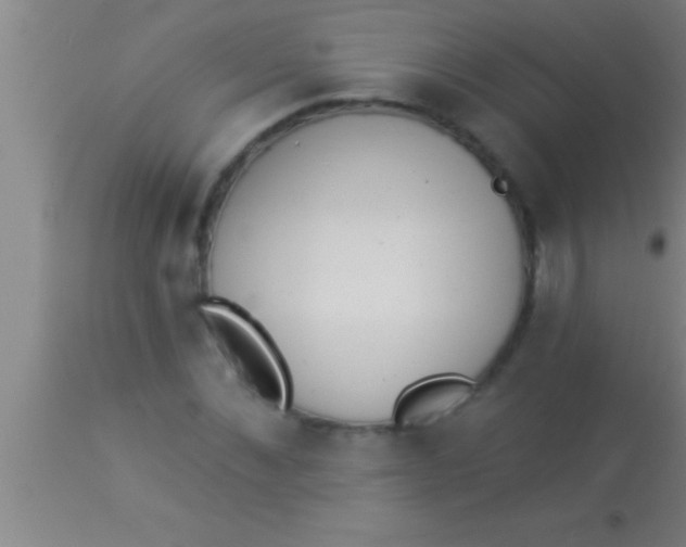 X0000113940876200910161912