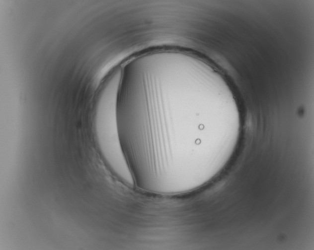 X0000113940877200910161912