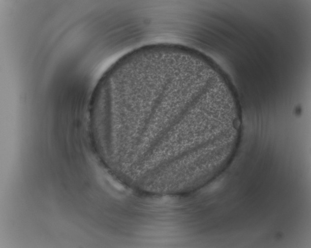 X0000113940879200910161912