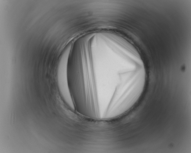 X0000113940881200910161912