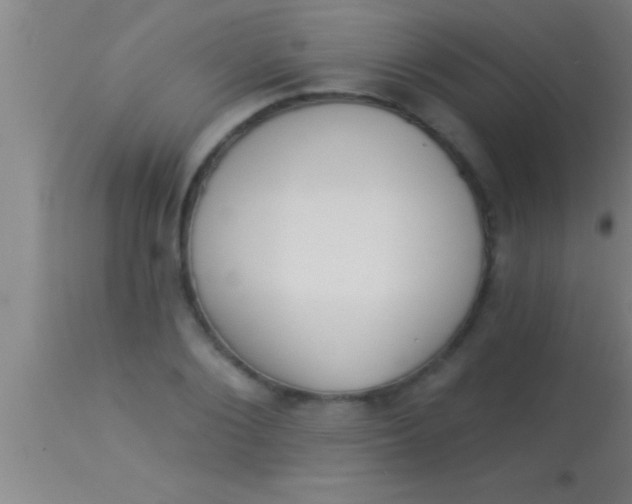X0000113940884200910161912