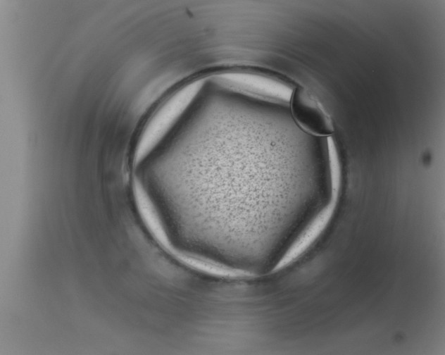 X0000113940885200910161912