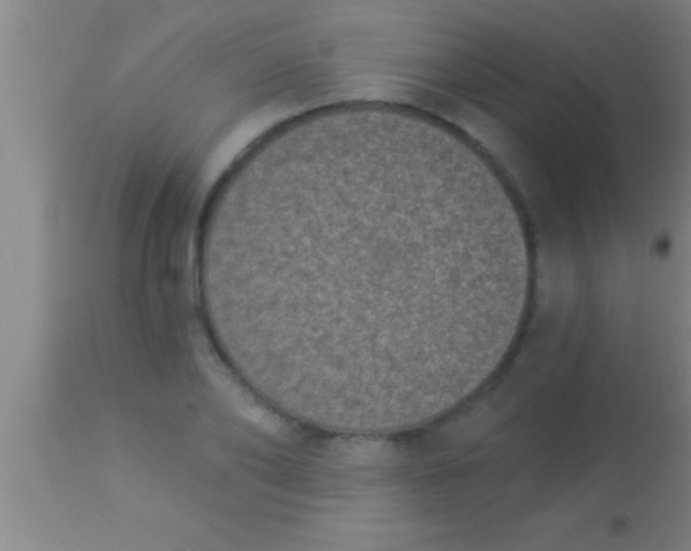 X0000113940886200910161912