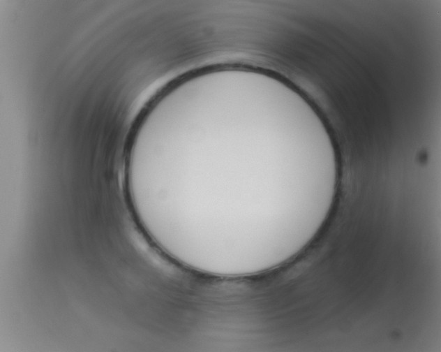 X0000113940888200910161912