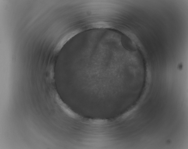X0000113940889200910161912