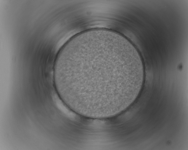 X0000113940890200910161912