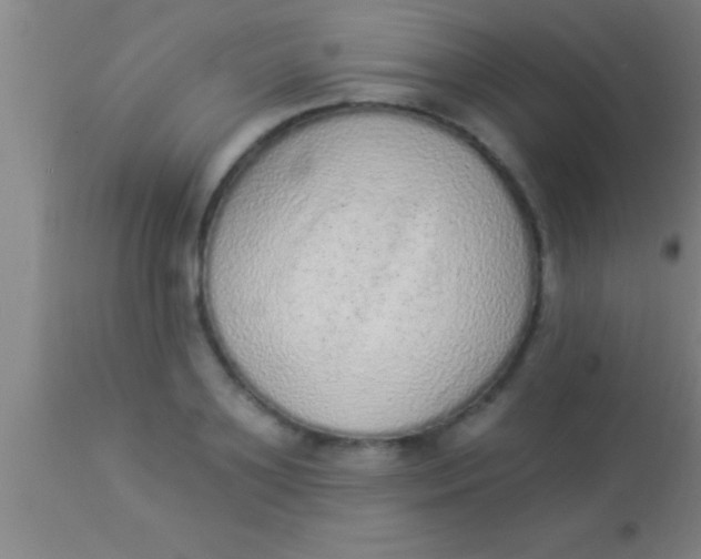 X0000113940891200910161912