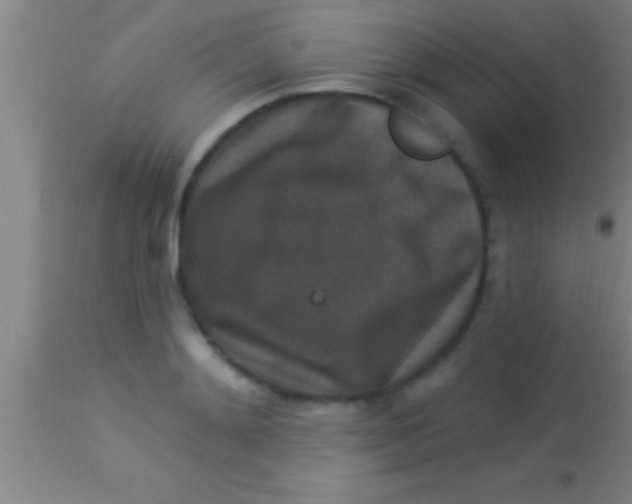 X0000113940892200910161912