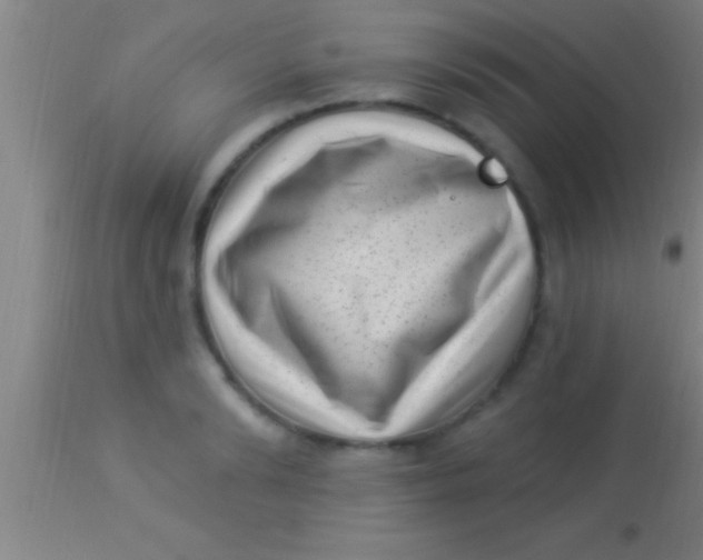 X0000113940894200910161912