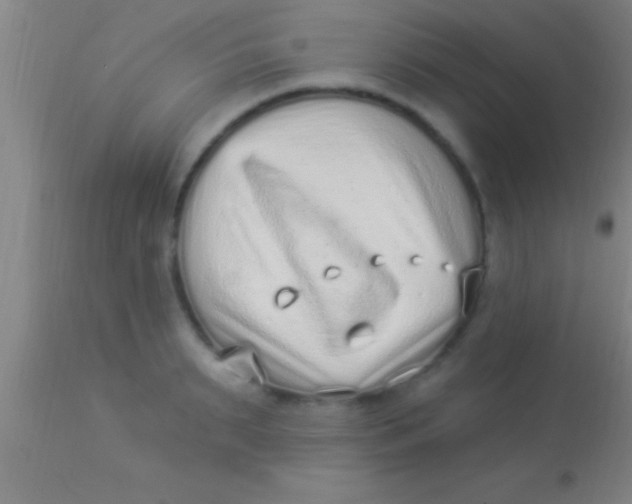 X0000113940895200910161912