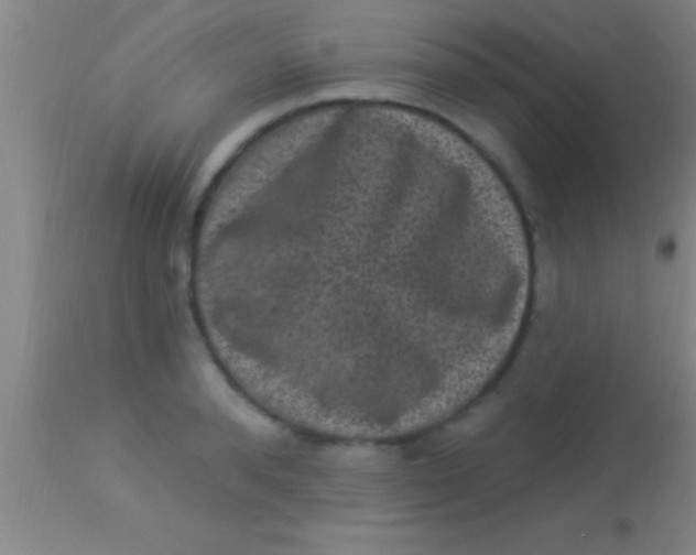X0000113940896200910161912
