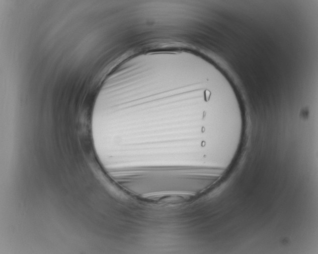 X0000113940897200910161912