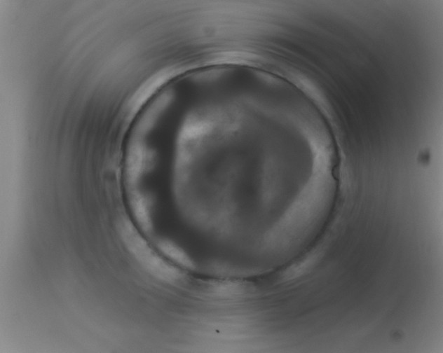 X0000113940899200910161912