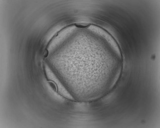 X0000113940901200910161912