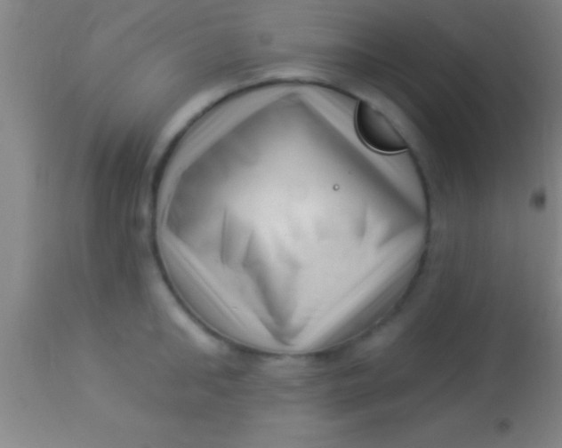 X0000113940902200910161912
