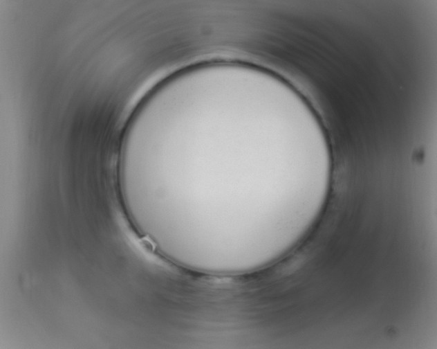 X0000113940903200910161912