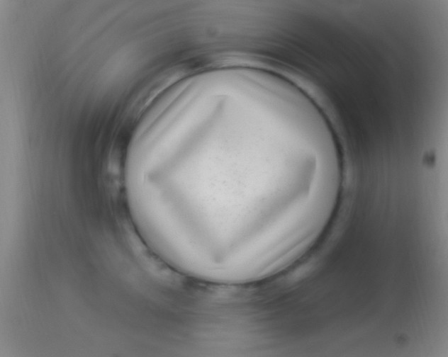 X0000113940905200910161912
