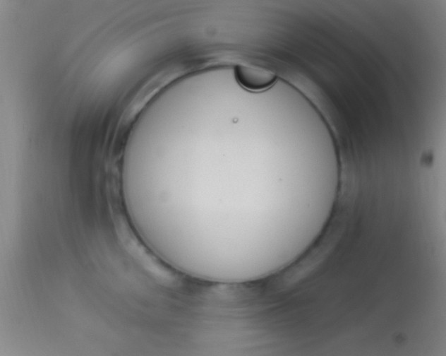 X0000113940906200910161912