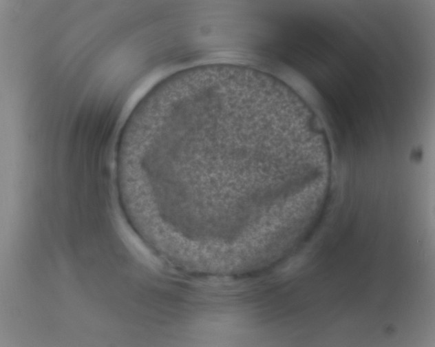 X0000113940907200910161912
