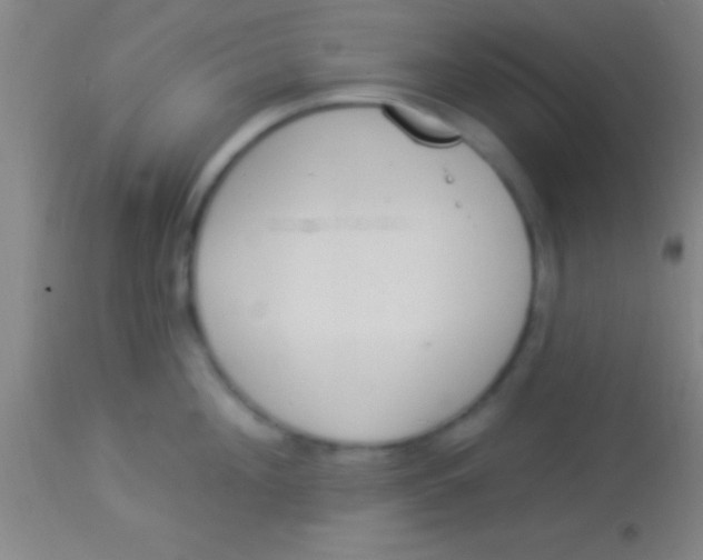 X0000113940908200910161912