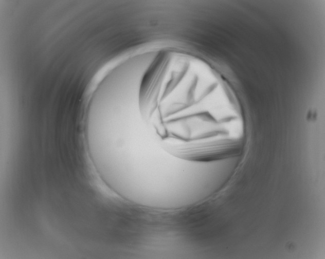 X0000113940912200910161912