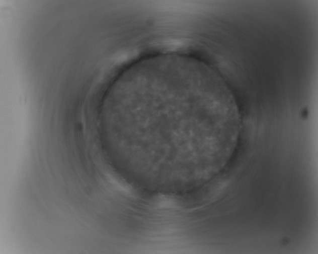 X0000113940913200910161911