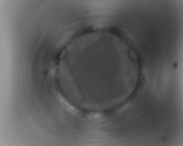 X0000113940914200910161911