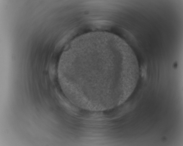 X0000113940915200910161911