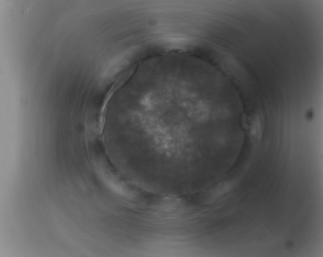 X0000113940916200910161911