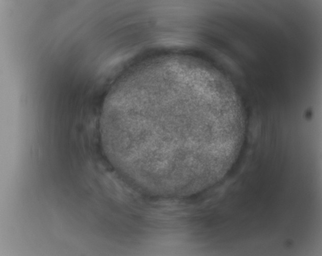 X0000113940917200910161911