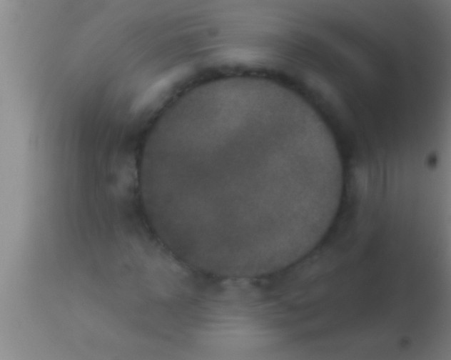 X0000113940918200910161911