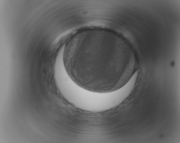 X0000113940920200910161911