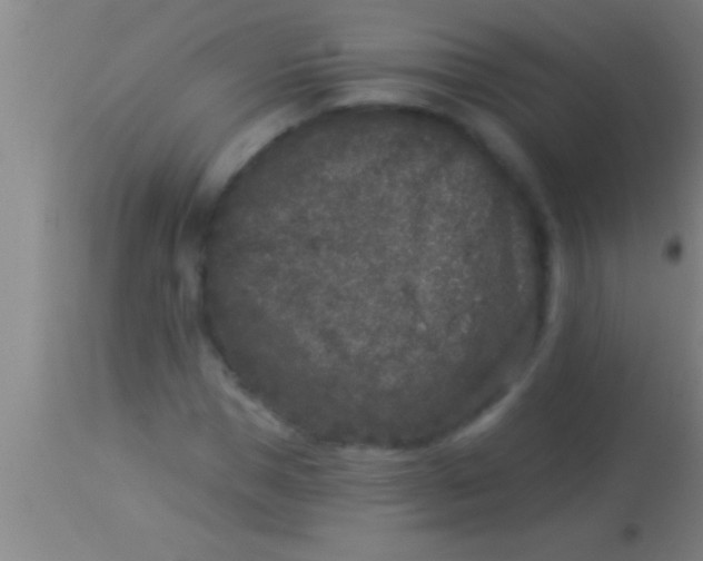 X0000113940921200910161911