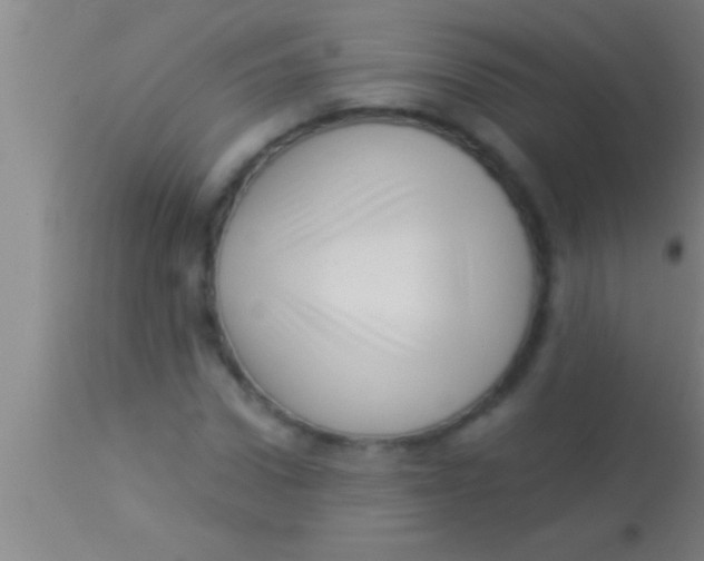 X0000113940922200910161911