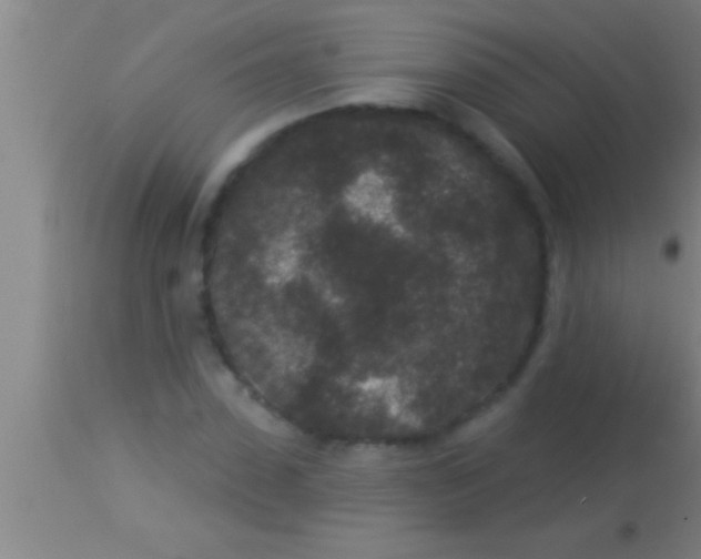 X0000113940923200910161911