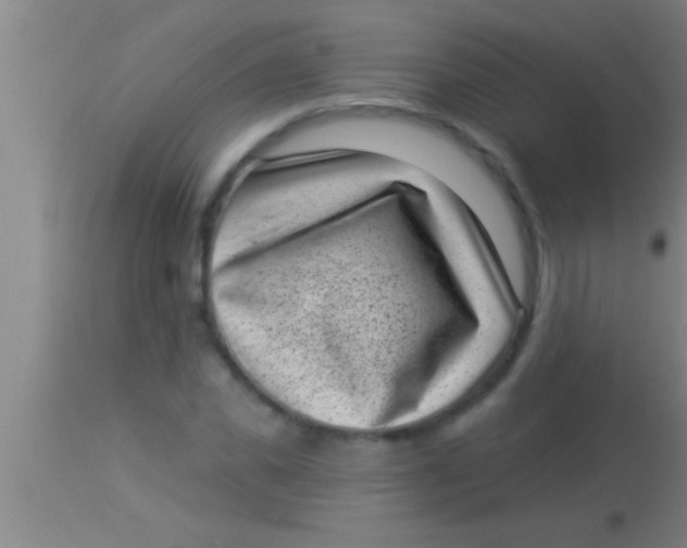 X0000113940925200910161911
