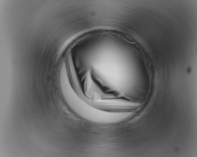 X0000113940926200910161911