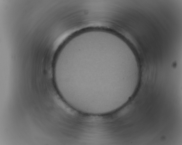 X0000113940927200910161911