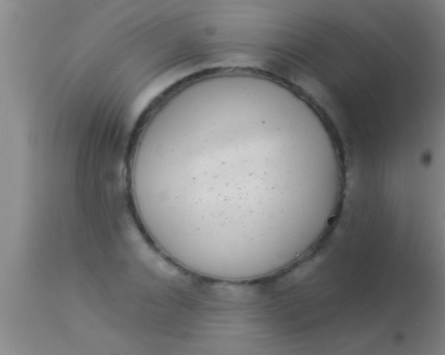 X0000113940928200910161911