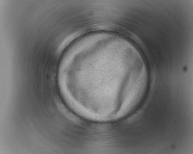 X0000113940930200910161911