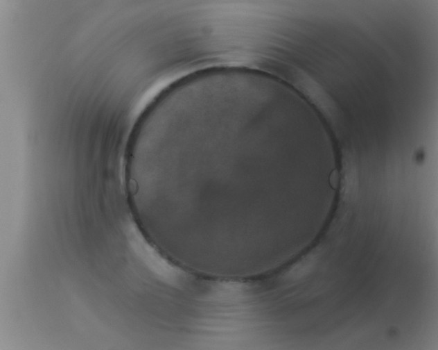 X0000113940932200910161911