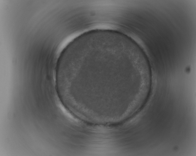 X0000113940935200910161911